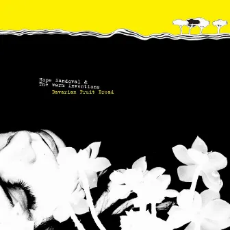 Bavarian Fruit Bread by Hope Sandoval & The Warm Inventions