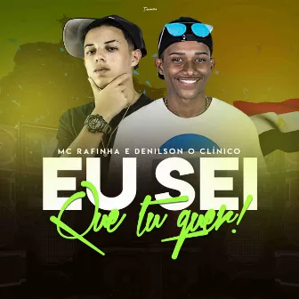 Eu Sei Que Tu Quer by DJ Denilson do Chapadão