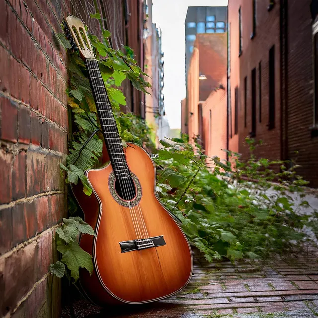 Guitarra Meditativa: Melodías Tranquilas Y Fluidas