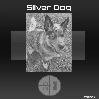 Silver Dog by Marcelo Nuñez