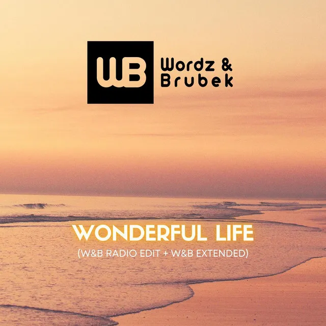 Wonderful Life