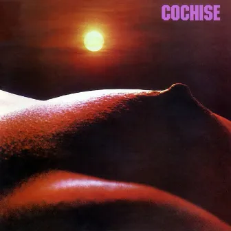 Cochise by Cochise