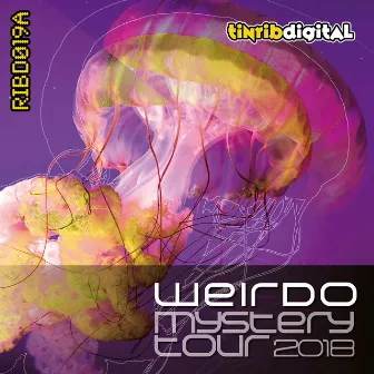 Mystery Tour 2018 (Mix) by Weirdo