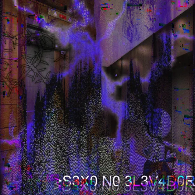 S3X0 N0 3L3V4D0R