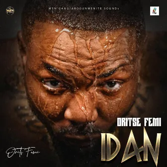 IDAN by Oritse Femi