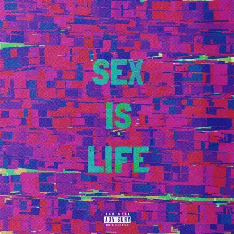 SEX IS LIFE by Nust B