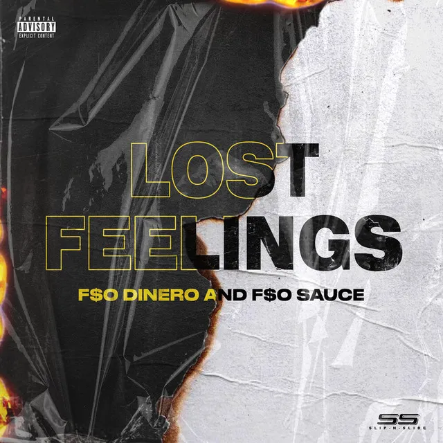 Lost Feelings