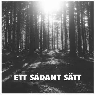 Ett Sådant Sätt by Loulou LaMotte