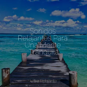 Sonidos Relajantes Para Una Mente Tranquila by Naturaleza Relajacion