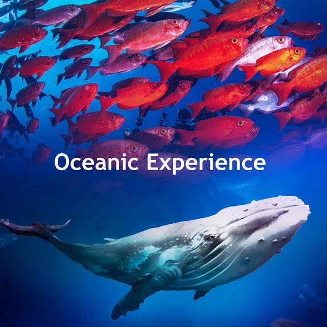 Oceanic Experience