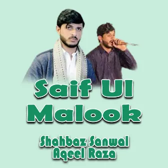 Saif Ul Malook by 