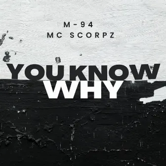 You Know Why by MC Scorpz