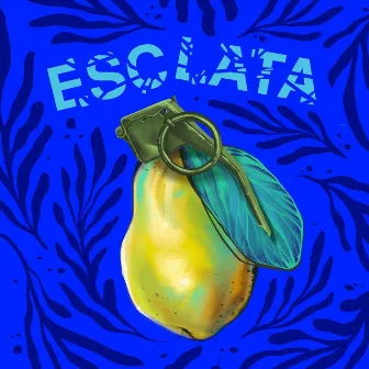 Esclata by Catfolkin