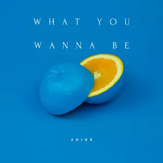 What You Wanna Be by 4nixx