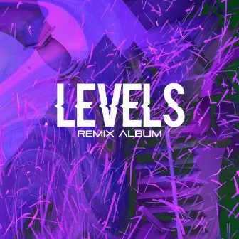 Levels (The Remixes) by DJ Bizzy