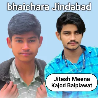 Bhaichara Jindabad by Jitesh Meena