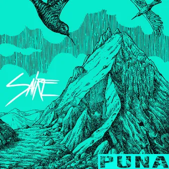 Puna by Saire