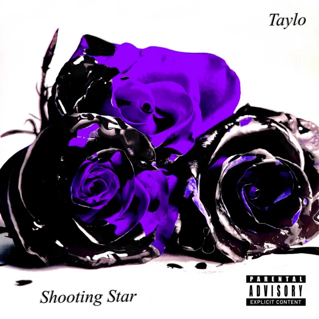 Shooting Star