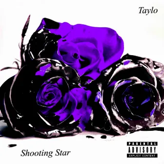 Shooting Star by Taylo