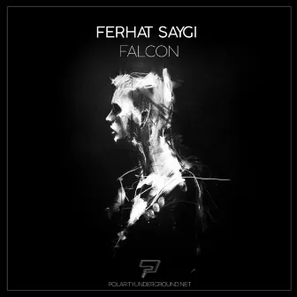 Falcon by Ferhat Saygi