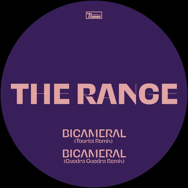 Bicameral (Guedra Guedra Remix)