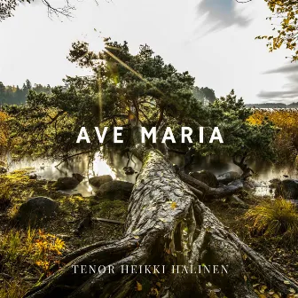 Ave Maria D.839 by Tenor Heikki Halinen