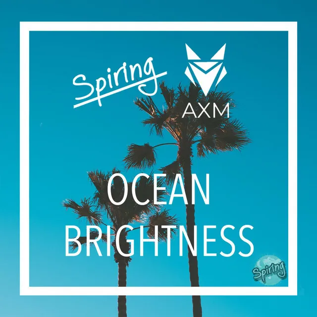 Ocean Brightness