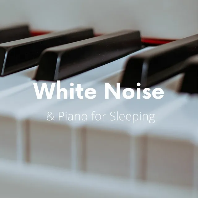 White Noise Playlist