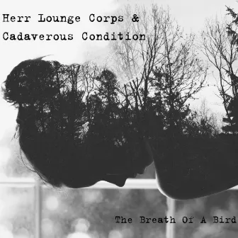 The Breath of a Bird by Cadaverous Condition