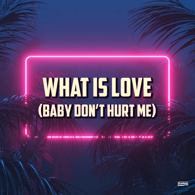 What Is Love (Baby Don't Hurt Me)