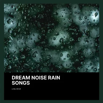 Dream Noise Rain Songs by Liquidge