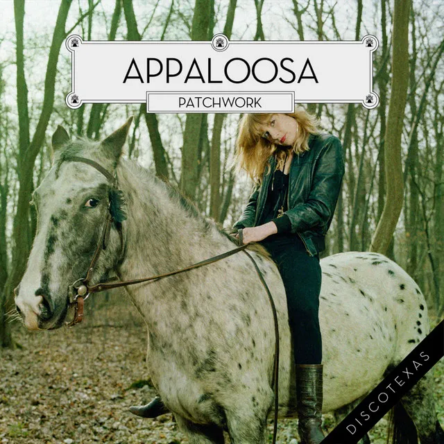 Appaloosa