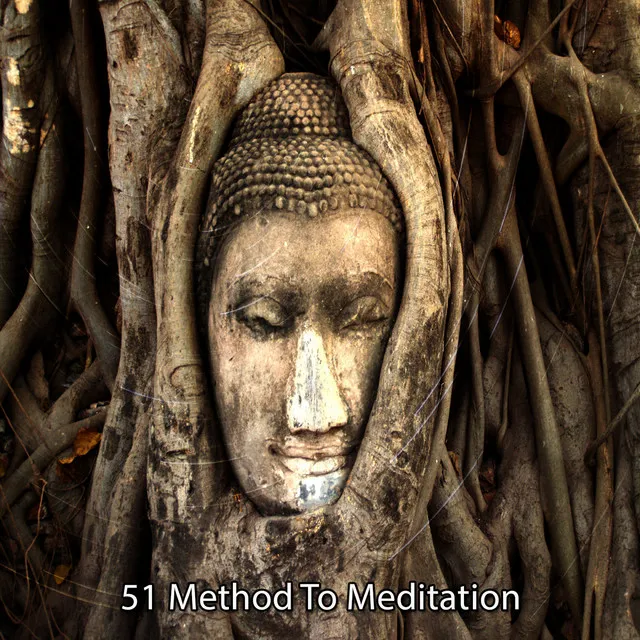 51 Method To Meditation