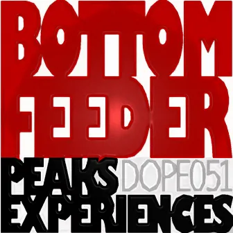 Peaks Experiences by Bottom Feeder