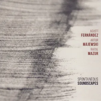 Spontaneous Soundscapes by Rafał Mazur