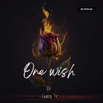 One Wish by TampaTy