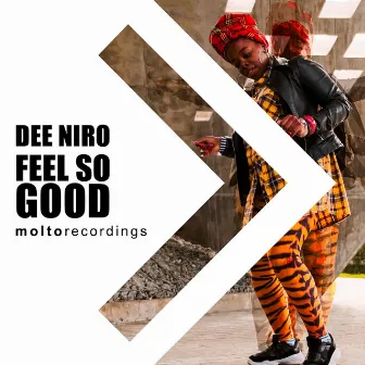 Feel So Good (Radio Edit) by Dee Niro