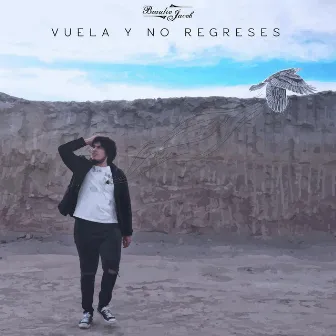 Vuela Y No Regreses by Braulio Jacob