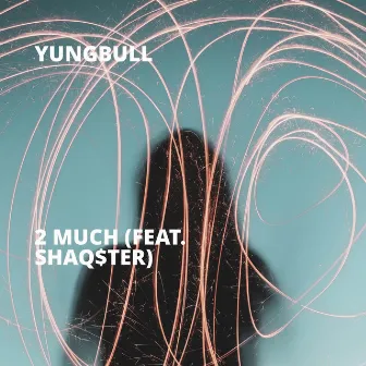 2 Much by YungBull