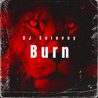 Burn by Dj Solovey