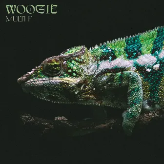 Multi F by Woogie