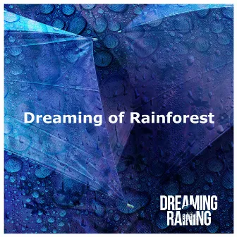 Dreaming of Rainforest by Dreaming Raining