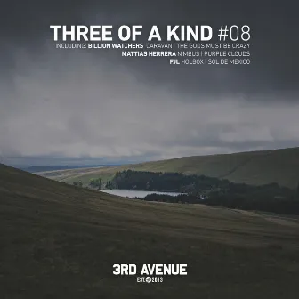 Three of a Kind #08 by Mattias Herrera