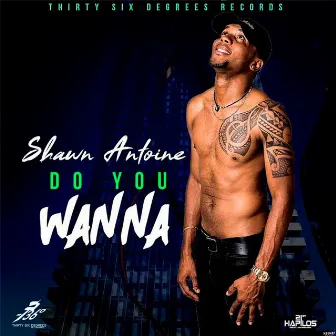 Do You Wanna by Shawn Antoine