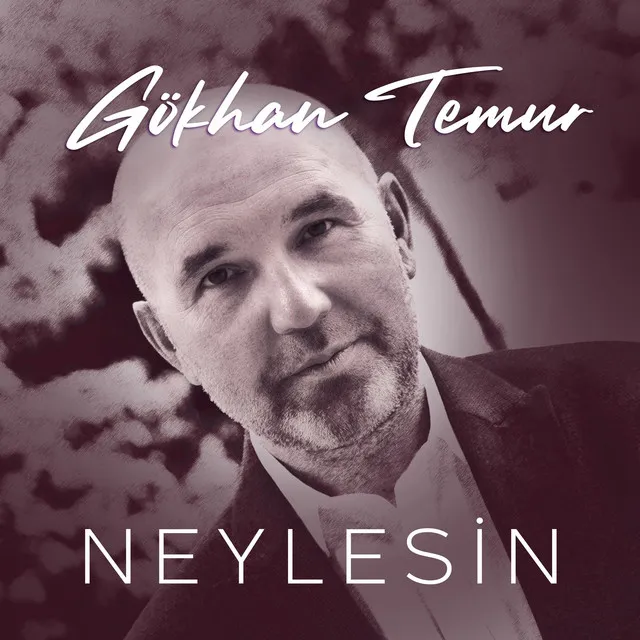 Neylesin