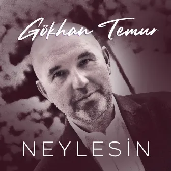 Neylesin by Gökhan Temur