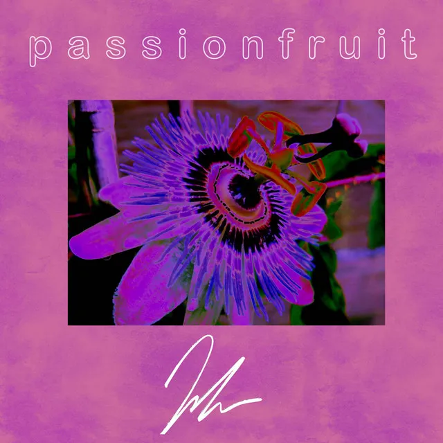 Passionfruit - slowed/reverb