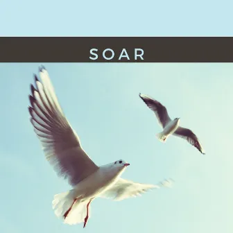 Soar by Jox Talay