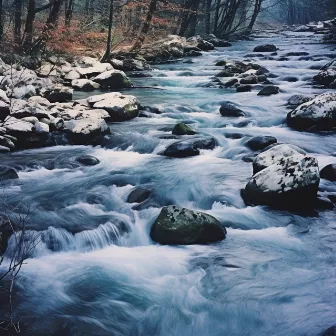 Melodías Del Arroyo: Ritmos Relajantes Con Conjunto by Naturaleza Caldwell