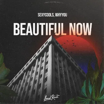 Beautiful Now by Whyyou